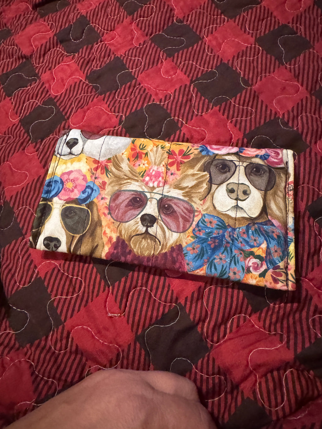 Sunglasses Case/ wallet